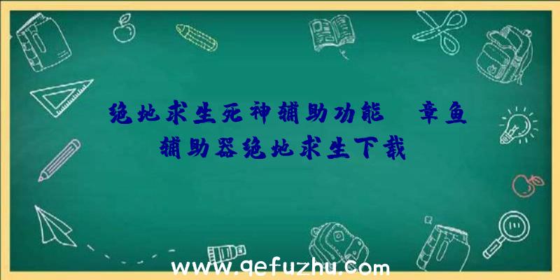 「绝地求生死神辅助功能」|章鱼辅助器绝地求生下载